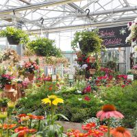 Erlebnisgärten Kittenberger